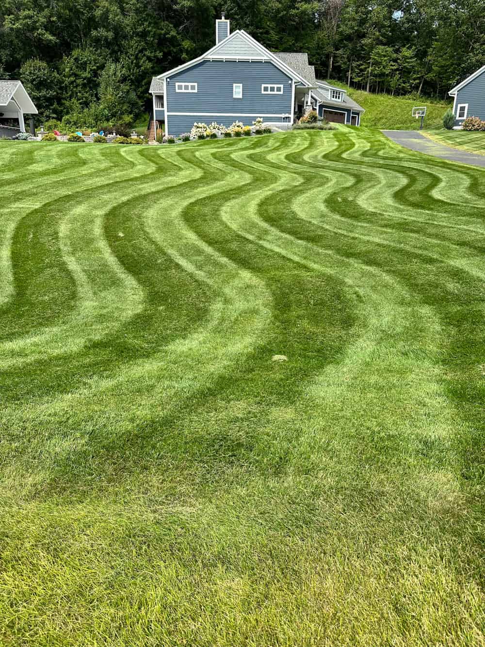 Lawn Maintenance image