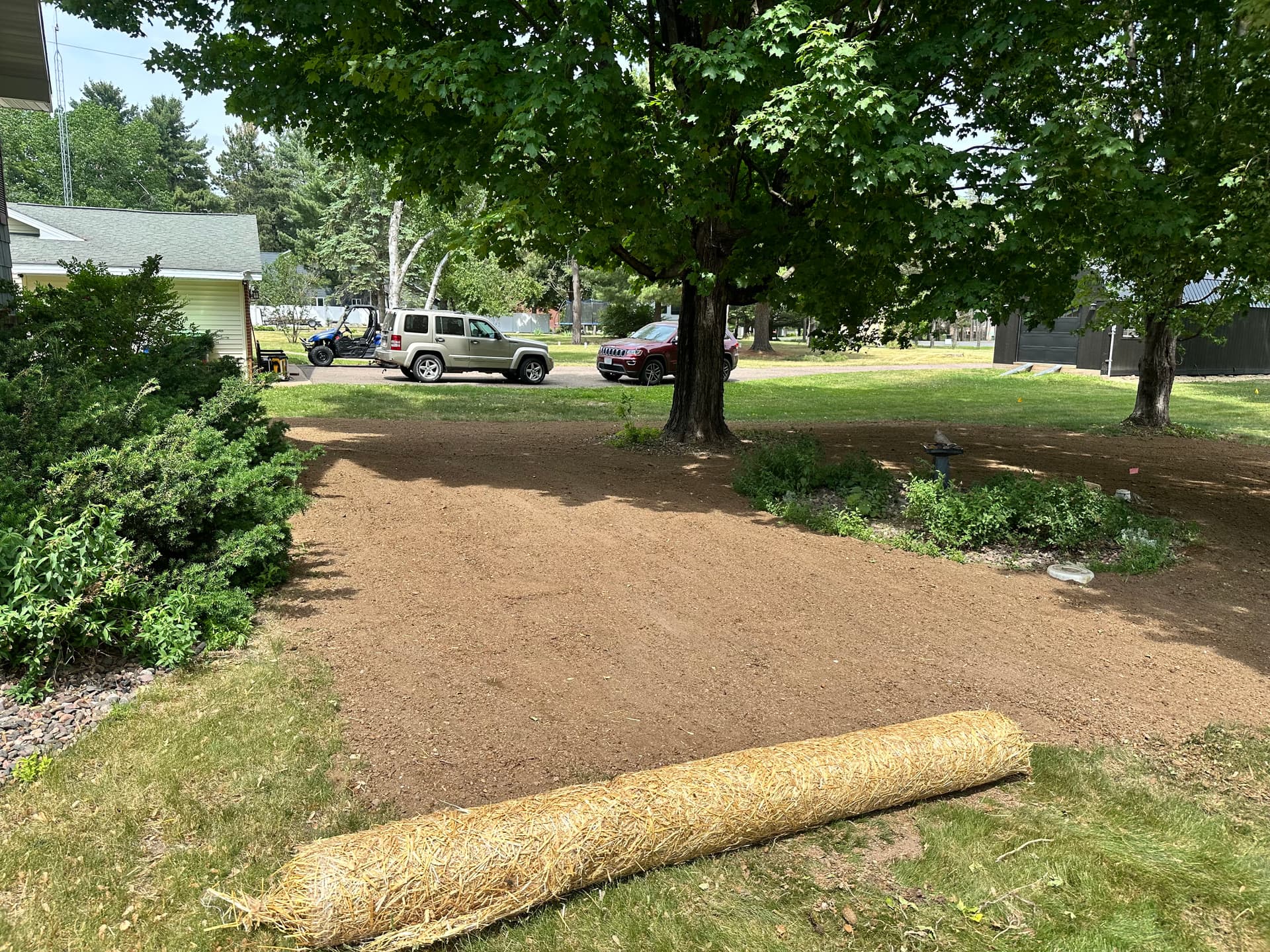 Gallery photos for Lawn Restoration Under Shade Trees Done Right: Image #4