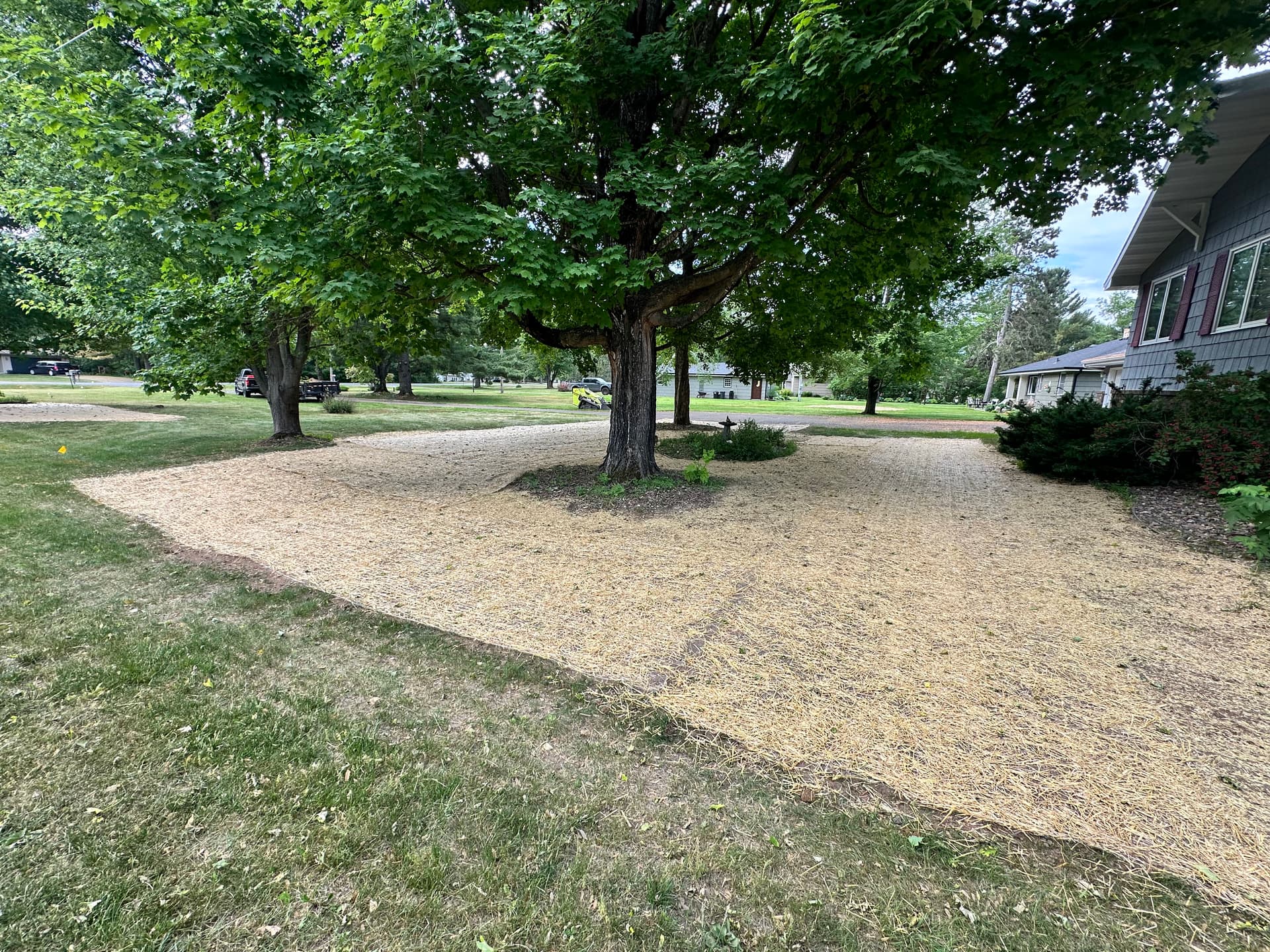 Gallery photos for Lawn Restoration Under Shade Trees Done Right: Image #6