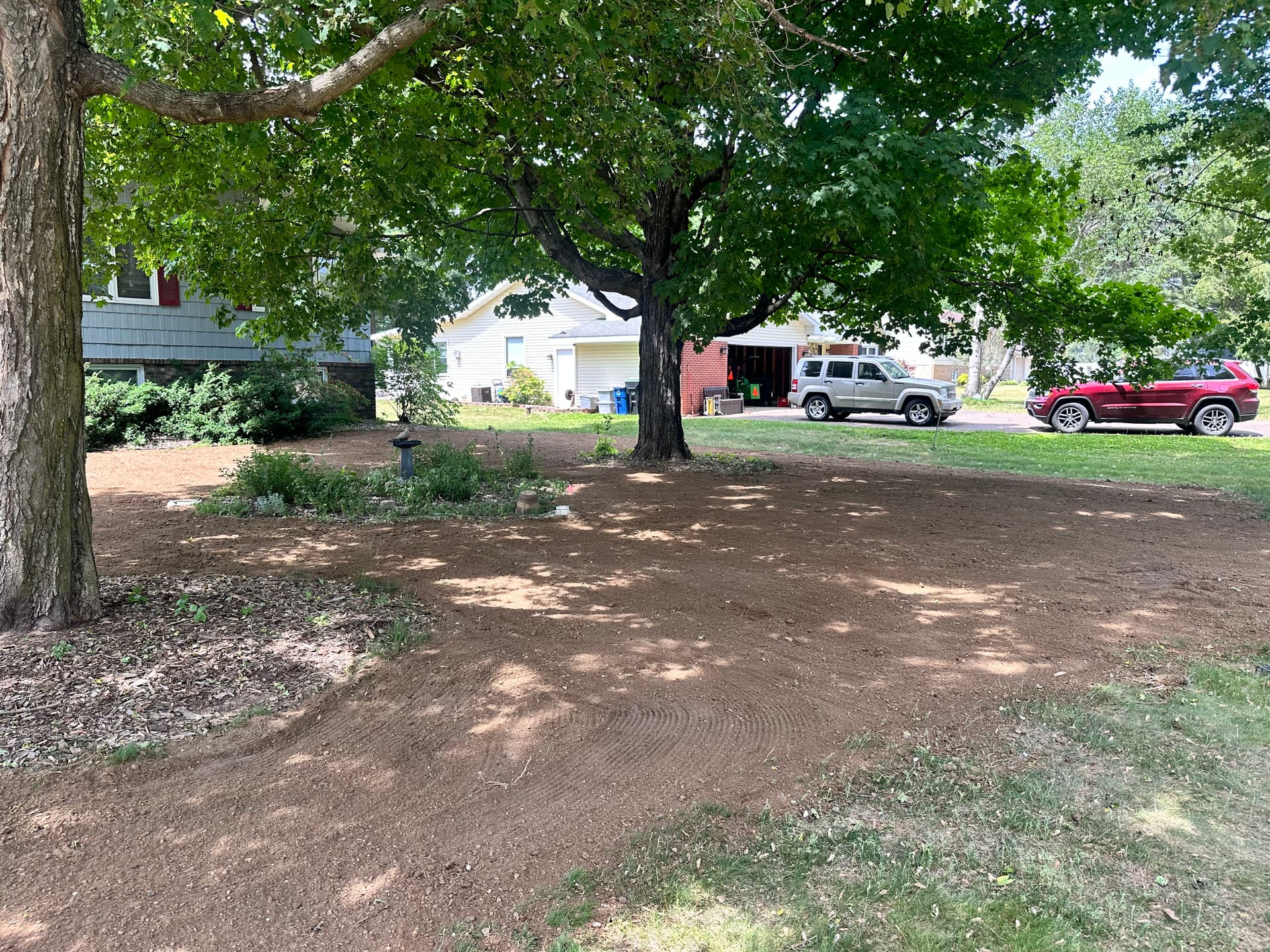 Gallery photos for Lawn Restoration Under Shade Trees Done Right: Image #3