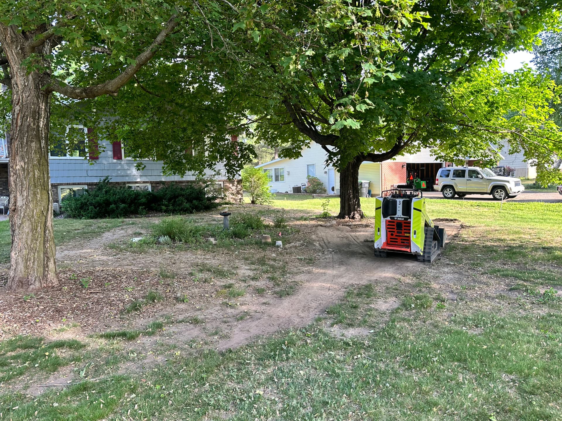 Gallery photos for Lawn Restoration Under Shade Trees Done Right: Image #1